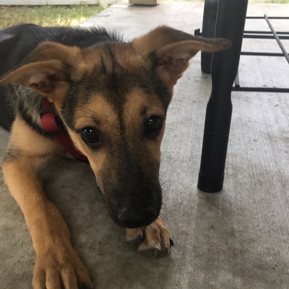 Meet your Posher, Kim